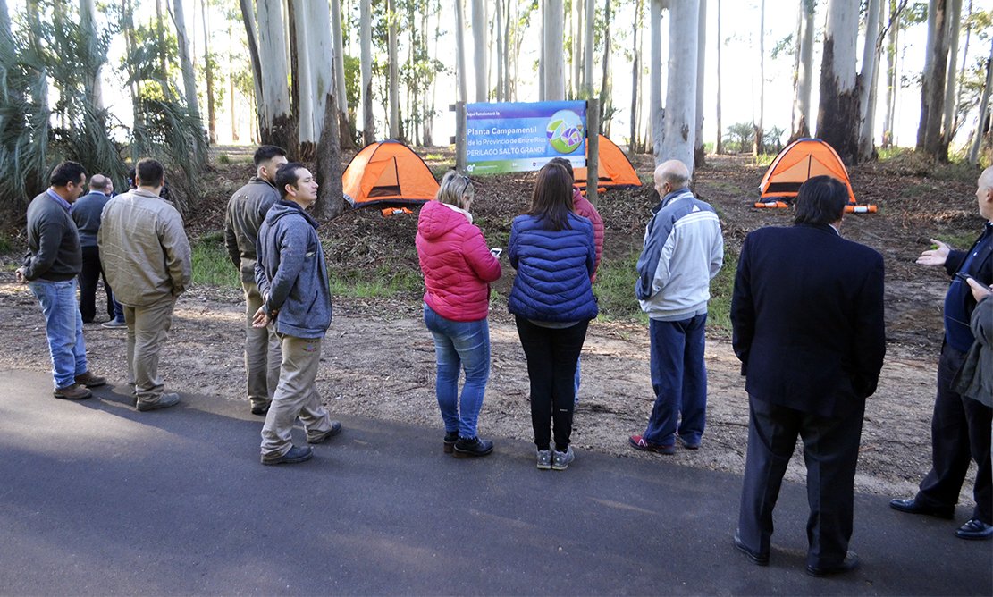 NUEVAS PLANTAS CAMPAMENTILES EN CONCORDIA Y ALREDEDORES