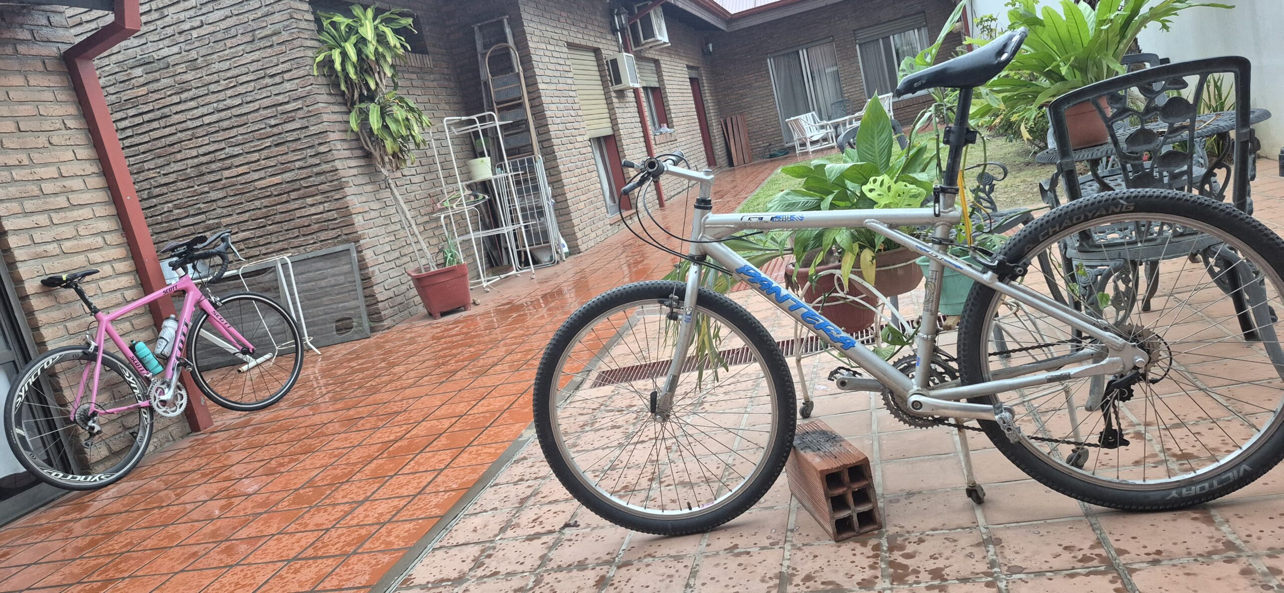 CUENTO: «MIS BICICLETAS Y YO»