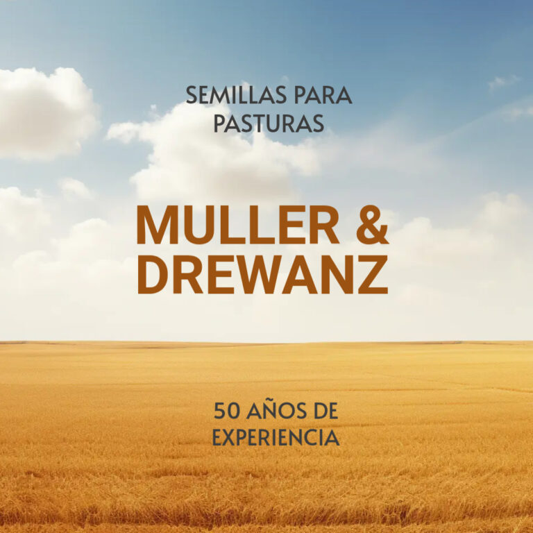 Triatlón en Paraná: se corre la 6ª fecha del campeonato el 15 de febrero